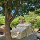 오투세탁소 | [내돈내산] 에어노크(AirNOK) 에어텐트 수개월 실사용 솔직 후기 (장점보다 단점 위주)