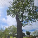 충청병영 옛 건물 | 충남 서산 해미읍성