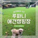 특별하개 | 루파니애견캠핑장 추석캠 2박 3일 후기 (feat. 괴산5일장 나만의 맛집)