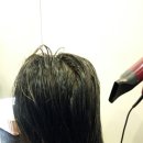 분당-160 이미지