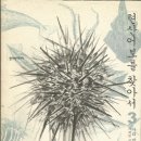 줄돌이태권도체육관 | 현산어보를 찾아서 3 - 사리 밤하늘에 꽃핀 과학정신 (이태원 지음)