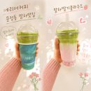 아마노문정법조프라자 | 문정동 말차맛집 [에리어커피] 말차딸기클라우드 솔직 후기