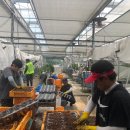 농부의 꿈 이미지