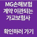 MG손해보험 계약자라면 꼭 알아야 할 7가지 사항