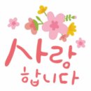 버그헌터119 서울북부센터 네이버블로그