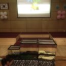 늘품자연유치원 이미지