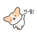 동래정부천 이미지