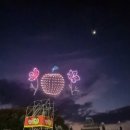 청송문화원 | 2024 11월 전국 축제 가볼만한 곳 청송 사과 축제 2일차 방문 후기