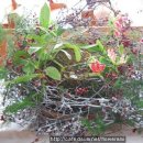 광주무등교회 이미지