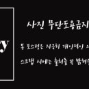 팔팔돼지(88돼지) 이미지