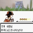 부산 복귀 이후 일상 보고 (feat. 블로그 완결)