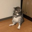 강동호치민 이미지