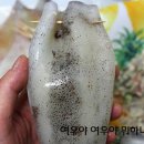 남편친구들 휘어잡은 맛있는 산행도시락^^ 이미지