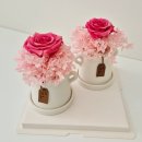 꽃그리다바이엘라 이미지