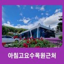 가평일상탈출하우스 | 가평의 숨은 보석, 자카란다 카페에서의 특별한 하루✨