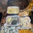 속초 조개구이 맛집 | 아바이어시장 속초본점 후기