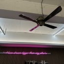 ninetea PC cafe 이미지