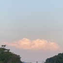 대단한 밀키트 | [재방문후기] 인천 밀키트 전문점 “대단한갈비 검단이음점” :D