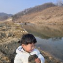 숲속의하모니 | 괴산 숲속의하모니캠핑장 후기 - 명당은 어디인가! 수영장 캠핑장!