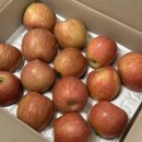 싱싱과일 | 경북의 맛있는 사과, 강아지도 반한 신선한 &#39;싱싱제철소&#39; 과일 솔직한 후기!