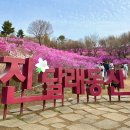 진달래푸드