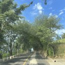 로뎀 해루질 펜션 이미지