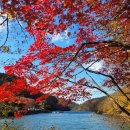 입곡군립공원 이미지