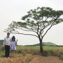 엽이목장 이미지