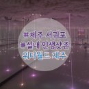 거북목욕탕 | 제주 워터월드 겨울 대가족 이용후기 + 할인팁, 준비물