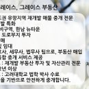 그레이스부동산공인중개사사무소 이미지