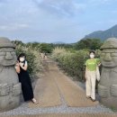 미영목장2 이미지