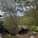 산속의친구 | 🌿 강원도 영월의 깊은 맛: 산속의 친구들 (강원 나물밥 전문점) 후기