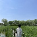 사비로99번길 이미지