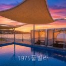 1975풀빌라 | 감포읍 펜션 1975풀빌라 직접 다녀온 솔직 후기