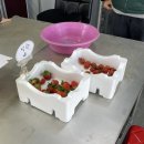 들말농장 이미지