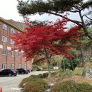 양산 신도시 대용량 공기청정기 이지네트웍스 유니큐 73A 납품후기