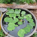 승희농장 이미지