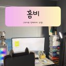 공간 분위기를 완성하는 높이조절 조명, 홈비 하이로 인테리어 조명 후기