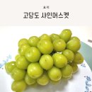 양감농장 | 과일 선물로 좋은 양감포도농장 샤인머스켓, 보관 방법 알아보기