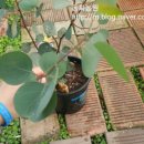 동화조경농원 이미지