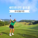 N-3 | 추석선물추천 세인트나인 N PRO N BLACK 3피스골프공 후기