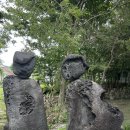 제주25실버스타 이미지