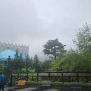 강랜 여행 2일차 홀덤 최대승한 후기와 블랙잭 플레이 못한 이야기.. 이미지