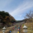 아담장 - 성북구 돌곶이로17길 5 | 아담장