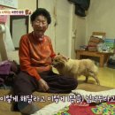 이정순농장 네이버블로그