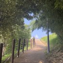 [여행일기] 여수 당일치기 | 여천역 가볼 곳 예술의 섬 장도 따끈따끈한 방문 후기