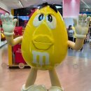 몽마르쉐 | 25살, 버킷리스트를 이루다.