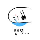B19-1 이미지