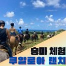 신성목장 | 하와이 승마투어 추천 쿠알로아랜치에서 즐기는 말 타기 체험