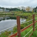 만보약국 이미지